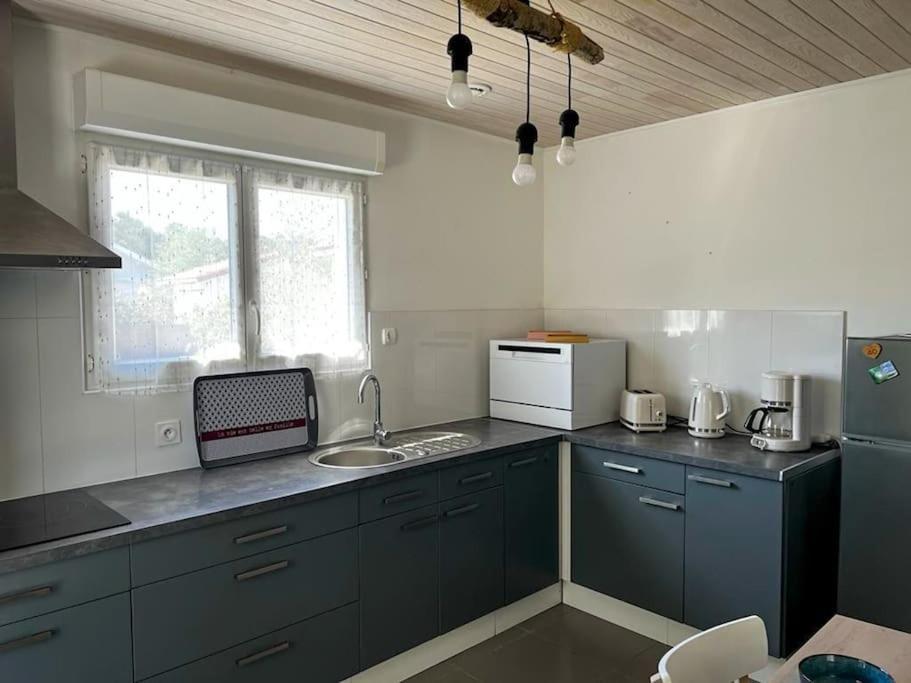 La Cabane Aux Lacs ~ Maison Cosy Au Calme Aureilhan  Dış mekan fotoğraf